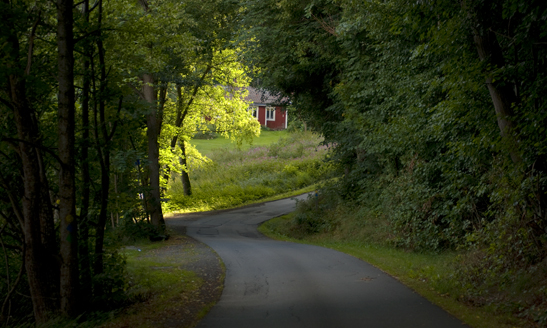 Stuga i backe © Josefine Aspenstrand